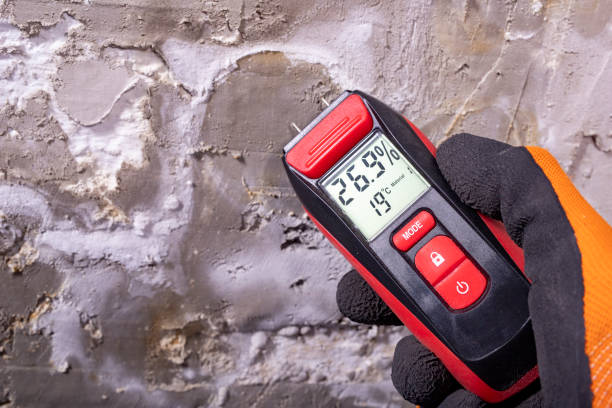 Best Post-Flood Mold Remediation in Foothill Farms, CA